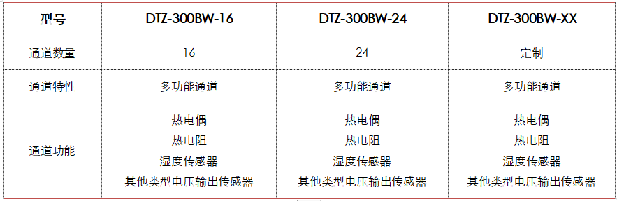 DTZ-300BW型 无线智能温湿度巡检仪